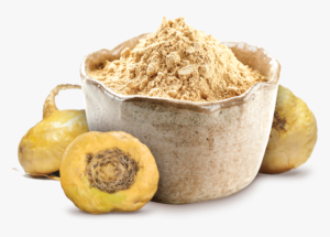Maca Root Extract