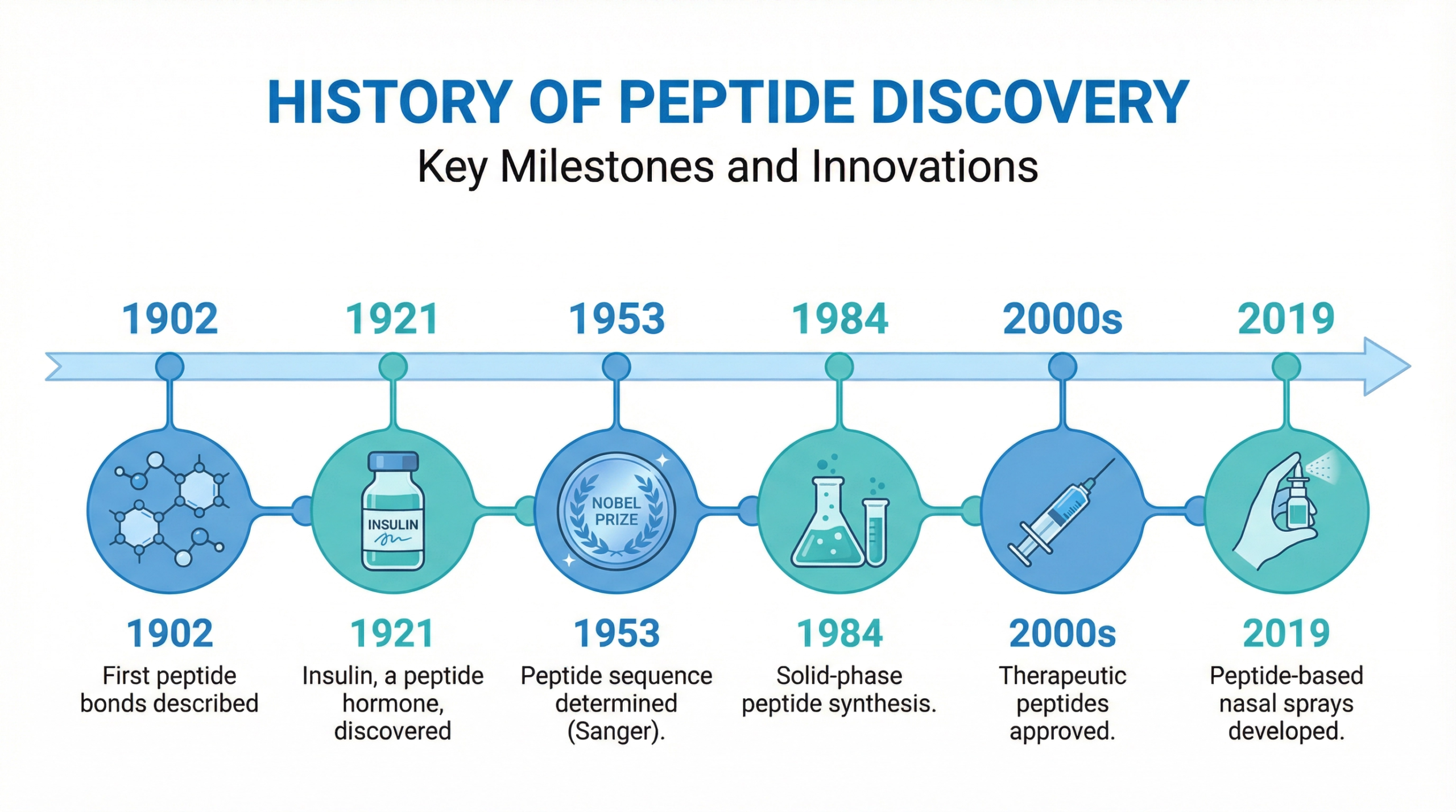 الببتايد Peptide